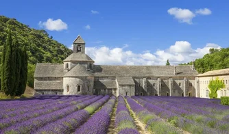 Coletivo Criativo Provence: o próximo destino de inspiração da Portobello